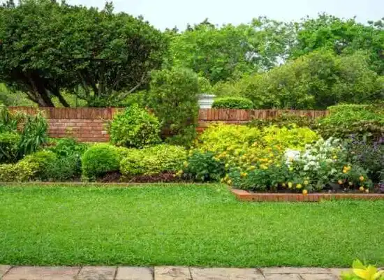 landscaping services Proctorville